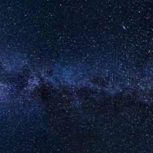 Some Image Alt Tags!