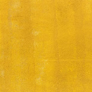 Some Image Alt Tags!